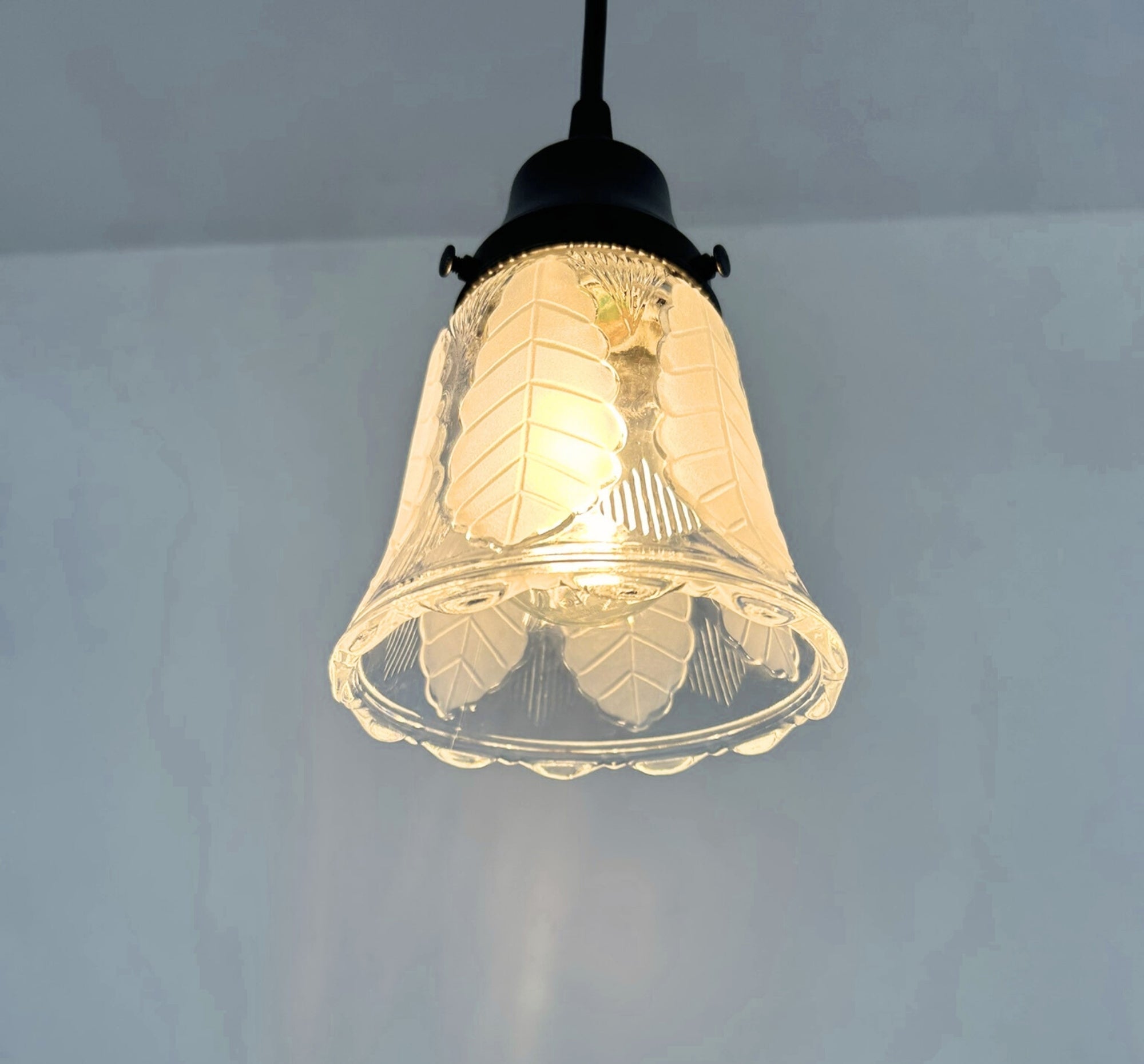 Frosted Leaf Embossed Clear Pendant Light
