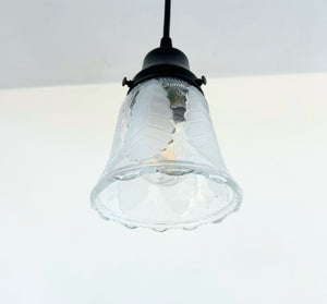 Frosted Leaf Embossed Clear Pendant Light
