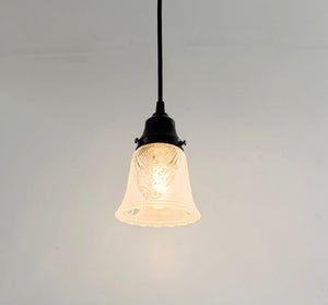 Clear Leaf and Frost Pendant Light - The Lamp Goods