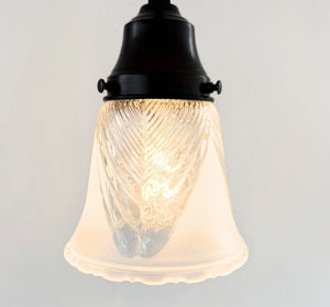 Clear Leaf and Frost Pendant Light - The Lamp Goods