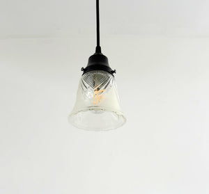 Clear Leaf and Frost Pendant Light - The Lamp Goods