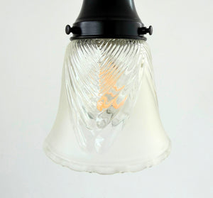 Clear Leaf and Frost Pendant Light - The Lamp Goods