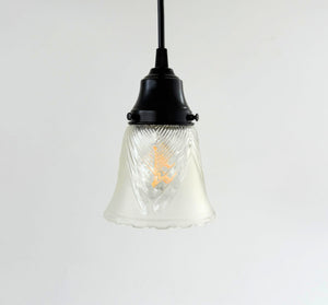 Clear Leaf and Frost Pendant Light - The Lamp Goods