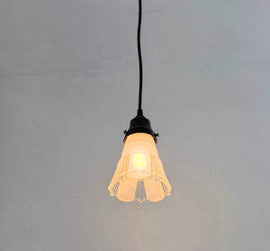 Curtain Drape Clear and Frost Flare Pendant