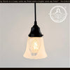 Clear Leaf and Frost Pendant Light - The Lamp Goods