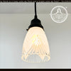 Clear And Frost Fan Ribbed Scallop Pendant Light/Wall Sconce