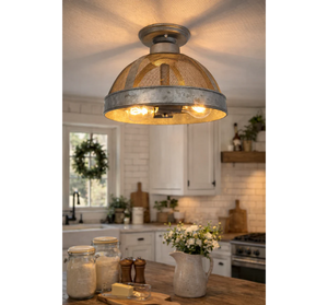 Rustic INDUSTRIAL Galvanized Screen Dome Flush Mount Cage Ceiling Light