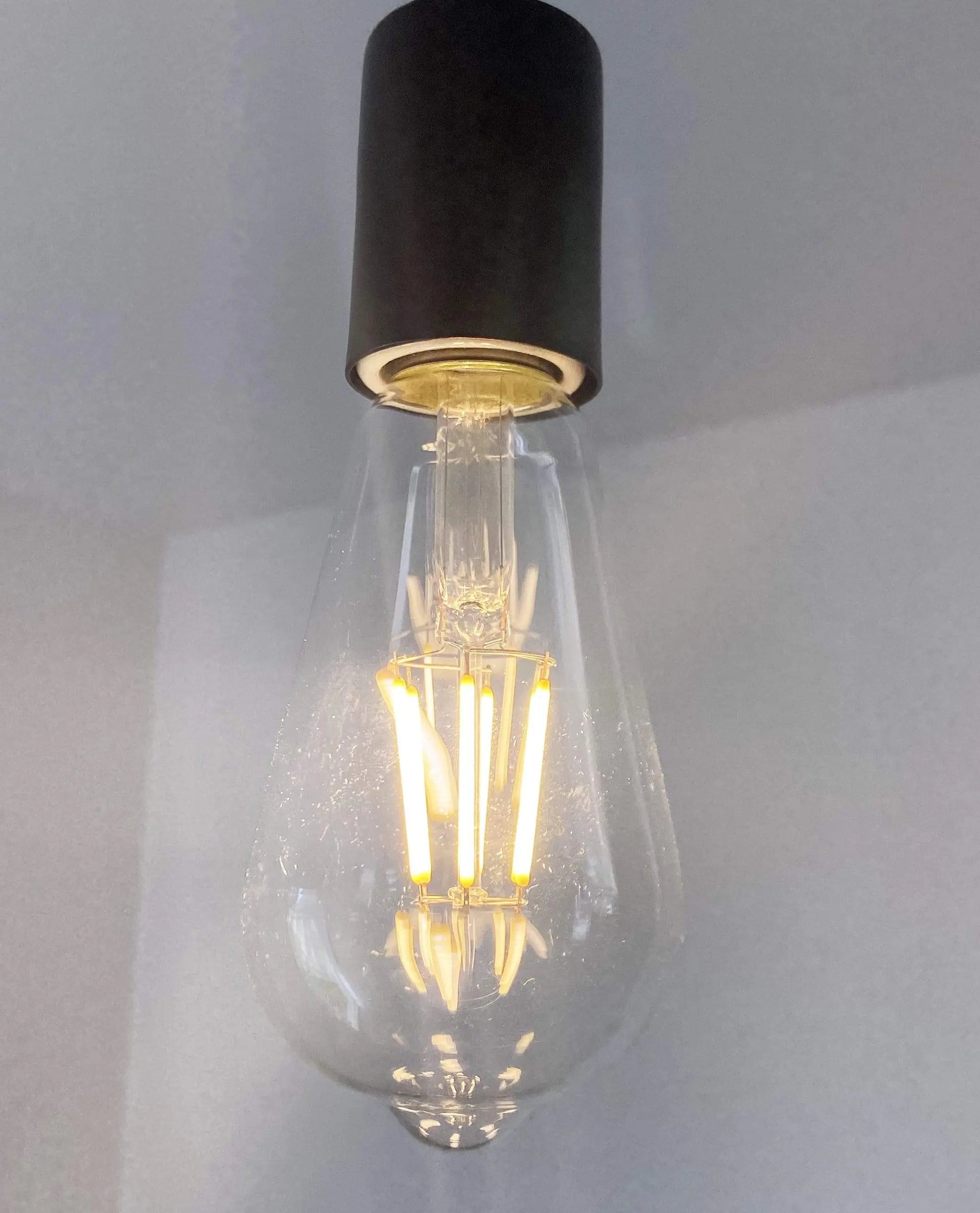 LED Edison Inspired Light Bulb Dimmable - 60 watts Equivalent The Lamp Goods