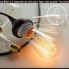 Edison Dimmable Bulb, 60-watt, standard base, warm light.
