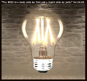 LED Edison Style 6 watt Light Bulb for Mason Jar Lighting - 60 watts Equivalent The Lamp Goods